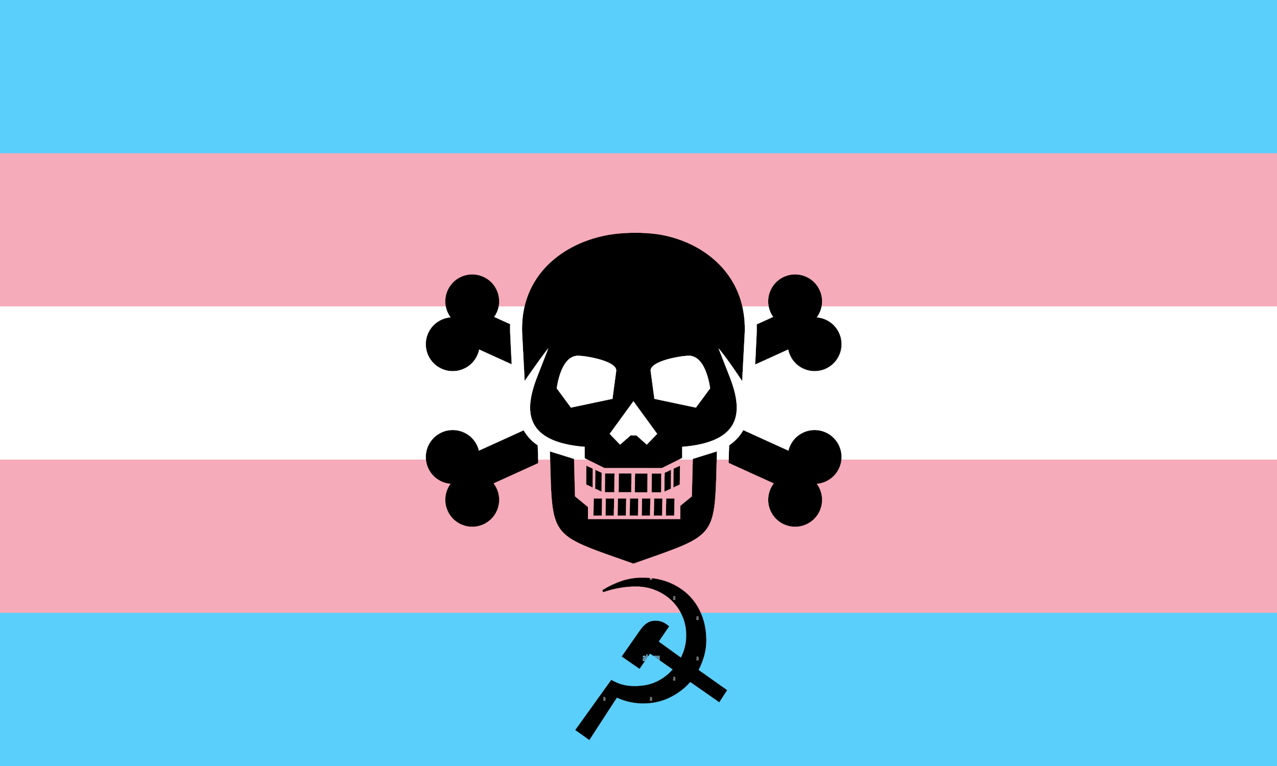 A trans pride flag with a sickle and hammer beneath a skull and crossbones