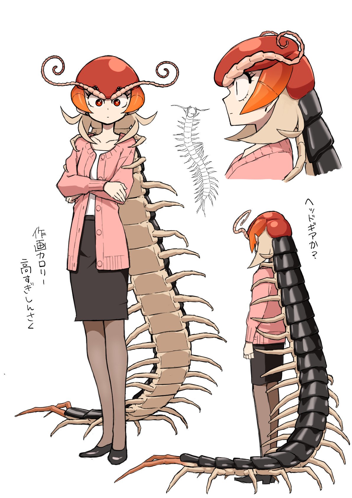 centipede morphmoe