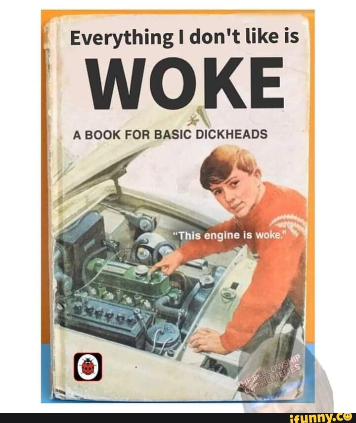 An edited Ladybird early reader book cover with a teen boy pointing into the open hood of a car while facing the viewer. The title of the book has been edited to say "Everything I don't like is WOKE" and the subtitle reads "a book for basic dickheads". Text over the boy, surrounded in double quotes indicating speech, says "this engine is woke".