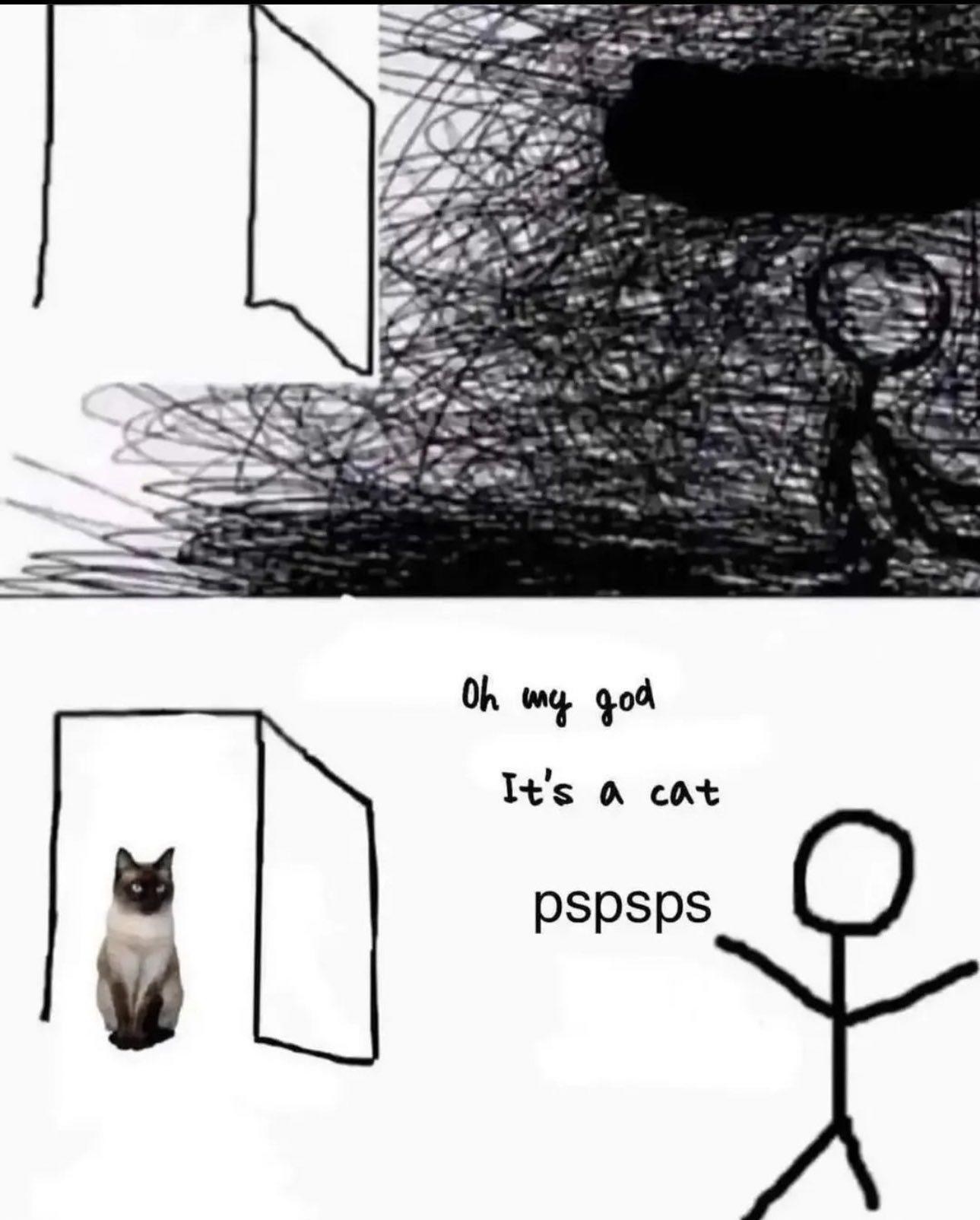 Omg it's a cat, pspspsps