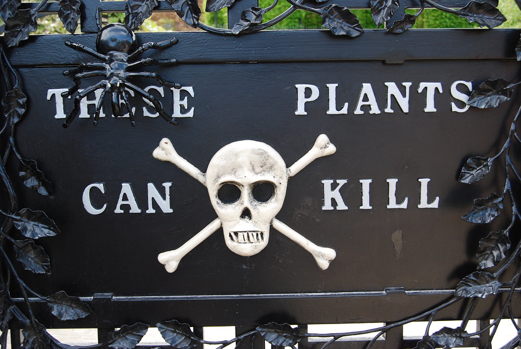 The Poison Garden: THESE PLANTS CAN KILL ☠️