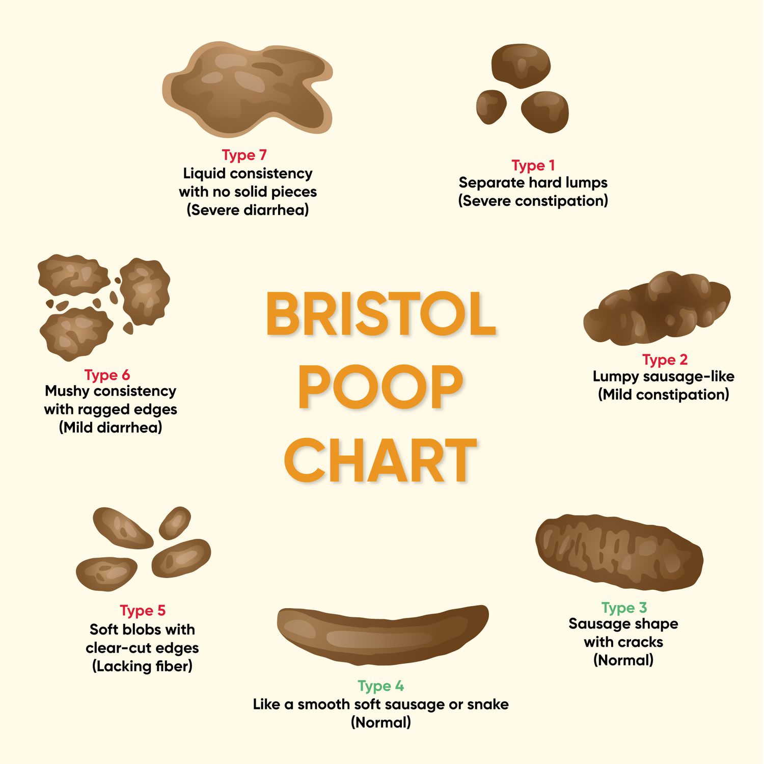 A chart of the types of shit. Type 1: Separate hard lumps (severe constipation), Type 2: Lumpy Sausage-like (mild constipation), Type 3: Sausage shape with cracks (normal), type 4: like a smooth sausage or snake (normal), type 5: soft blobs with clear cut edges (lack of fiber), type 6: mushy consistency with ragged edges (mild diarrhea), type 7: liquid consistency with no solid pieces (severe diarrhea)